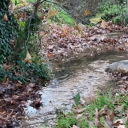 Semesterbostad Meditation Olive House Pelei