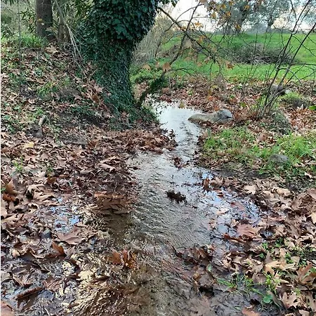 Meditation Olive House Vakantiehuis *