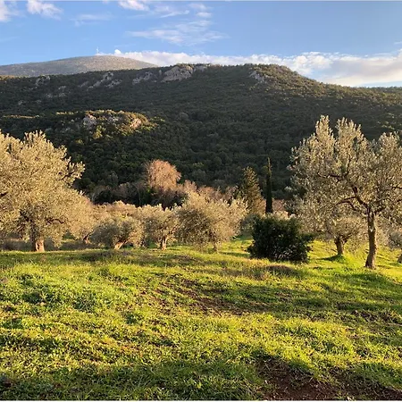 Meditation Olive House Semesterbostad *