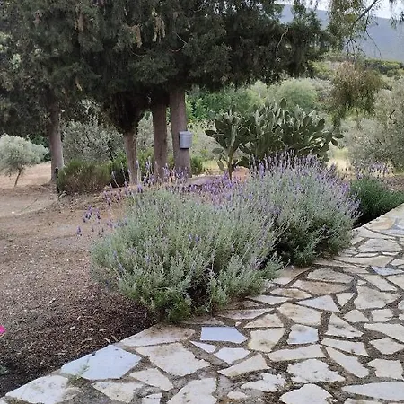 Meditation Olive House Semesterbostad Pelei