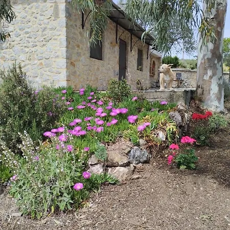 Meditation Olive House * Pelei