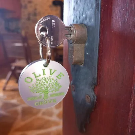 Semesterbostad Meditation Olive House