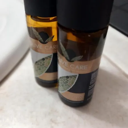 Meditation Olive House