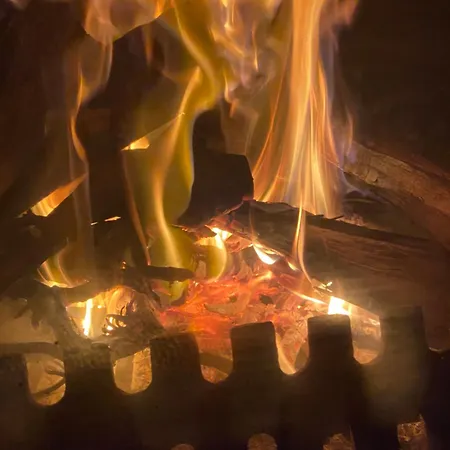 Meditation Olive House