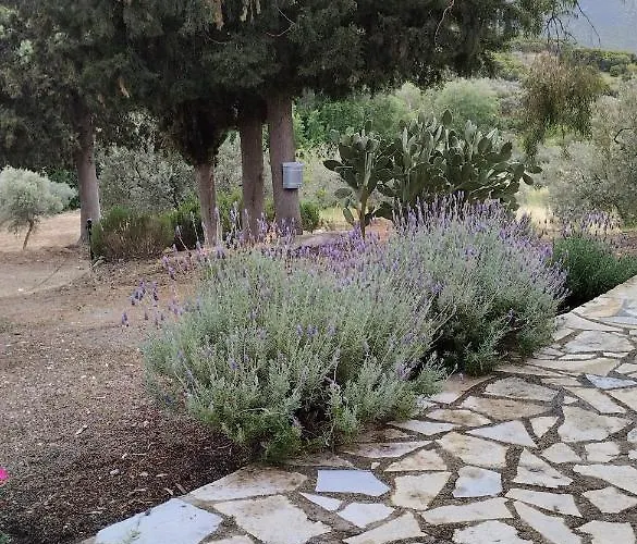 Meditation Olive House Dom wakacyjny Pelei