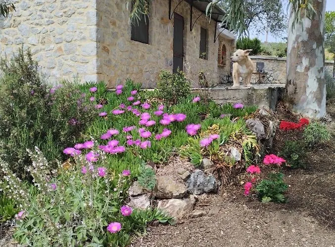 Meditation Olive House * Pelei