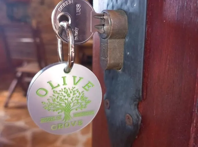 度假居 Meditation Olive House