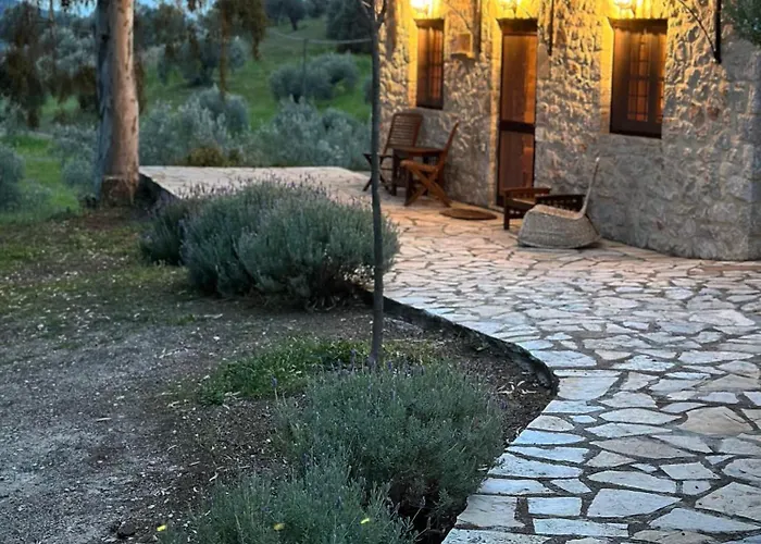Meditation Olive House 度假居 *