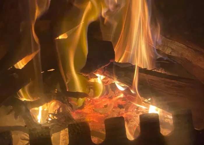 Meditation Olive House